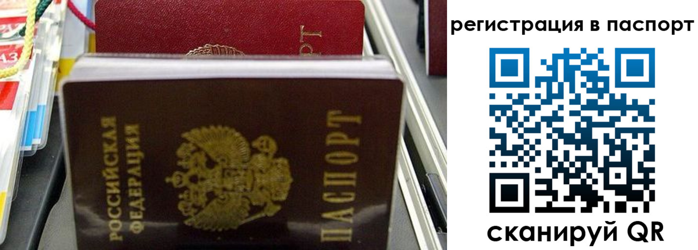 прописка для школы в Кемеровской области